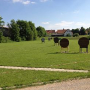 bogenplatz1.jpg