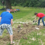 linie_093351.jpg