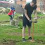 linie_103050.jpg